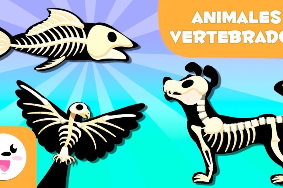 ¿Cuáles son los animales vertebrados ejemplos?