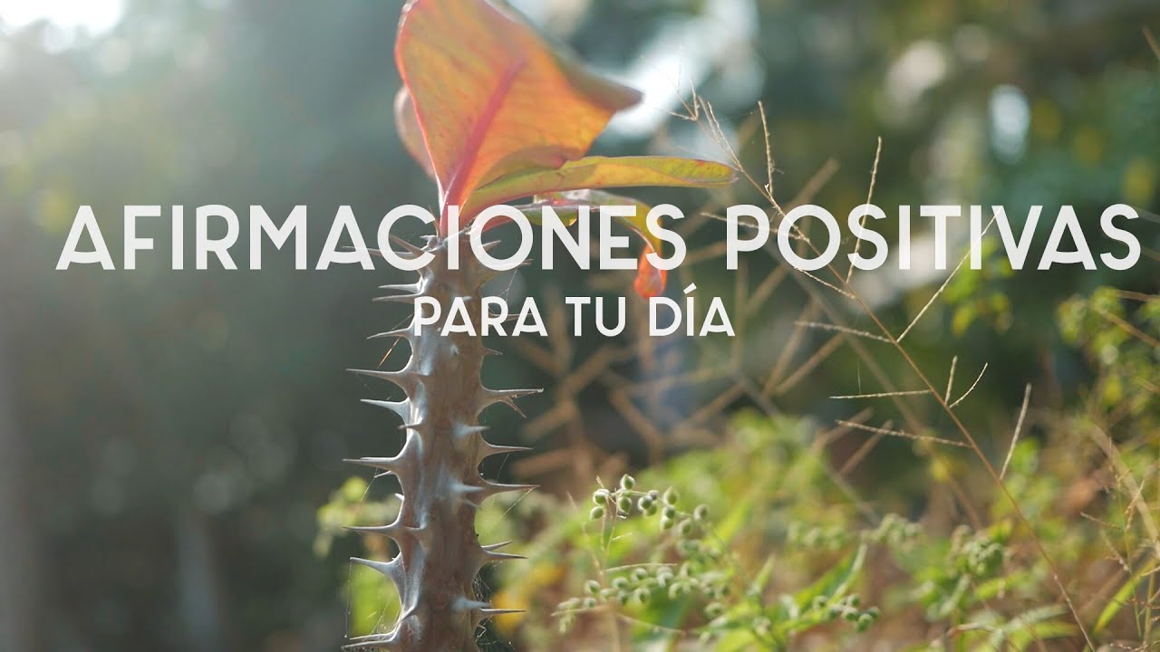 ¿Qué son los decretos y afirmaciones positivas en la mañana?