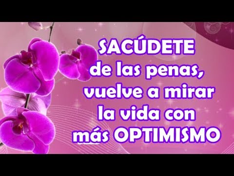 ¿Cómo dar palabras de aliento a un amigo?