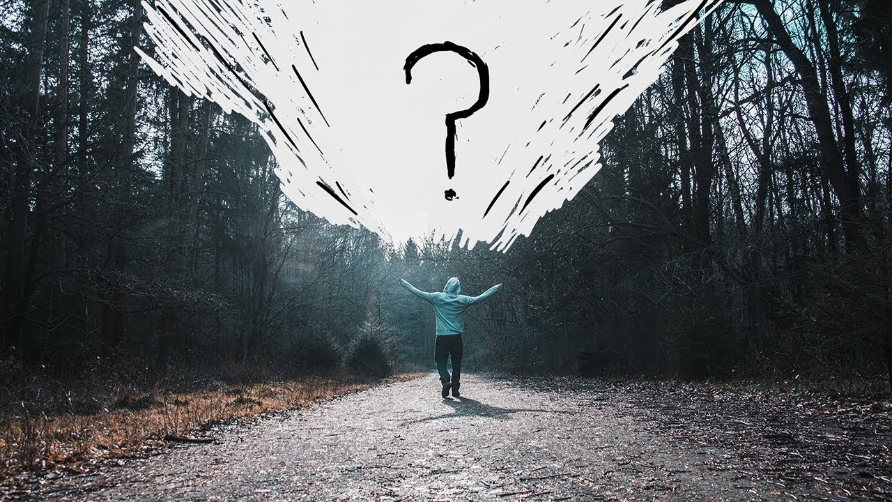 Descubre tu propósito de vida y crea una vida plena y significativa