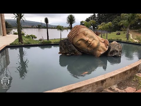 La Ley del Boomerang: Cómo nuestras acciones impactan en nuestra vida diaria