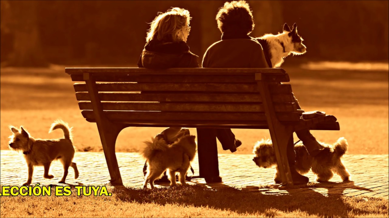 ¿Qué es vivir reflexión? 1 ¿Qué es vivir reflexión?