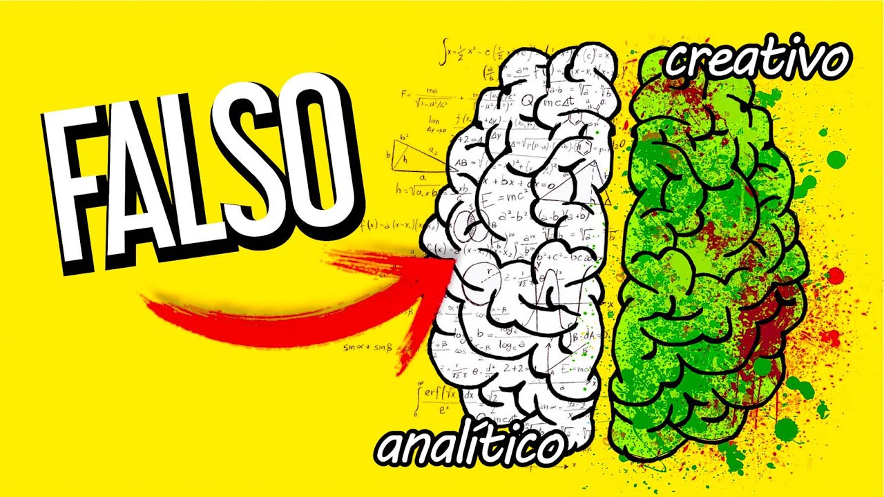 Hemisferio Izquierdo del Cerebro: Características, Habilidades Cognitivas y Creatividad