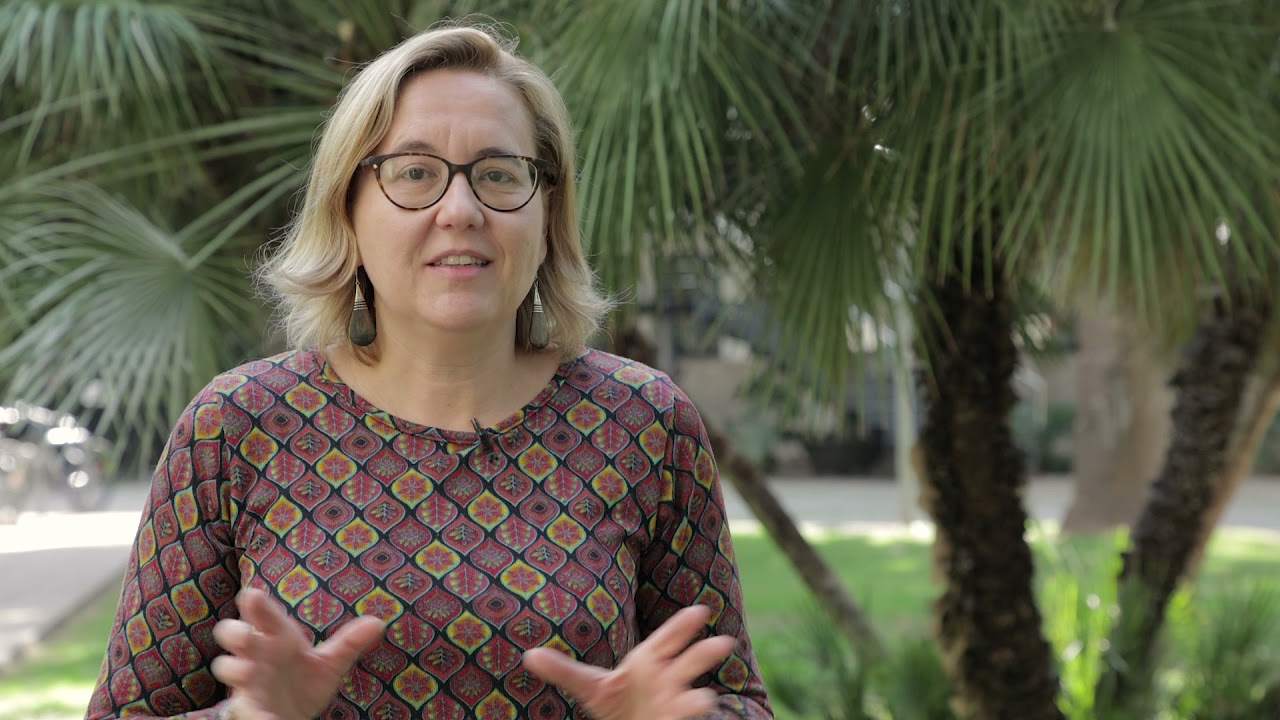La economía y su impacto en la educación: una mirada integral
