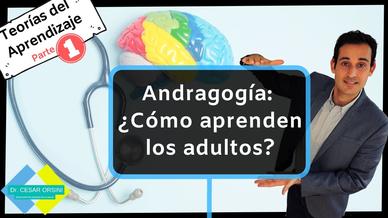 ¿Cuáles son los principios para desarrollar procesos educativos con adultos?