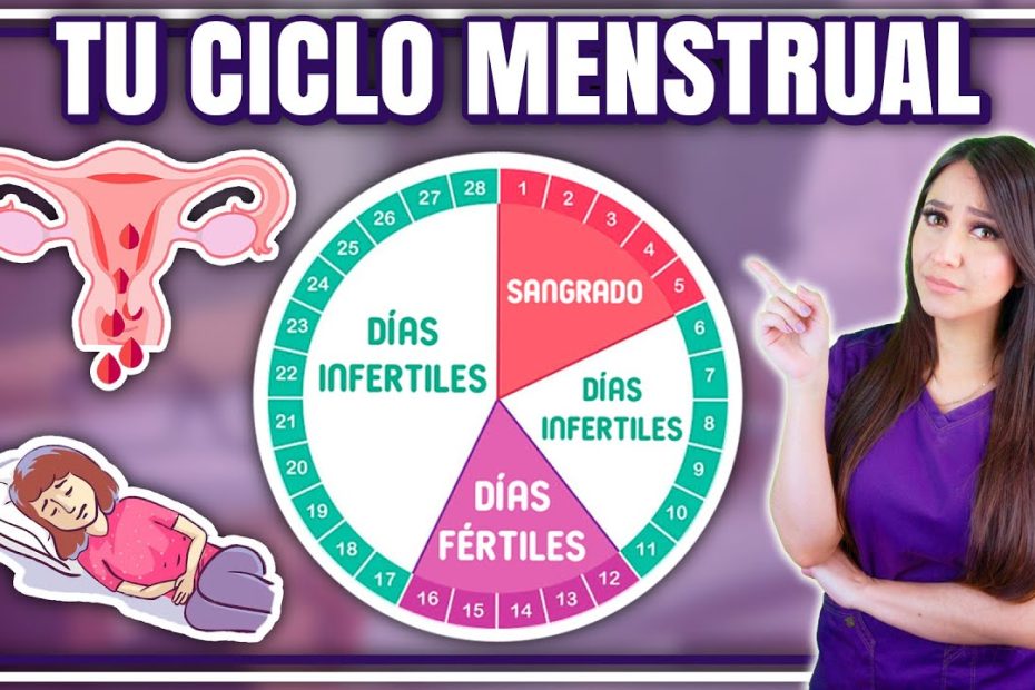 ¿Cuándo empieza y cuándo termina el ciclo menstrual?