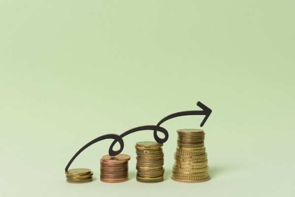 Invertir con poco dinero: Ideas y consejos para obtener ganancias 2 Semillas de riqueza