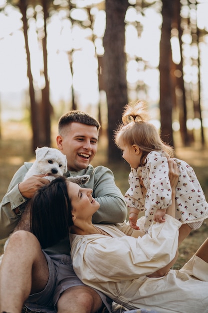 Superando la falta de afecto hacia la familia: Causas, soluciones y mejorando la relación 3 Amor herido, distancia familiar.